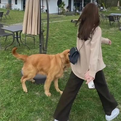 十段生命的律动
